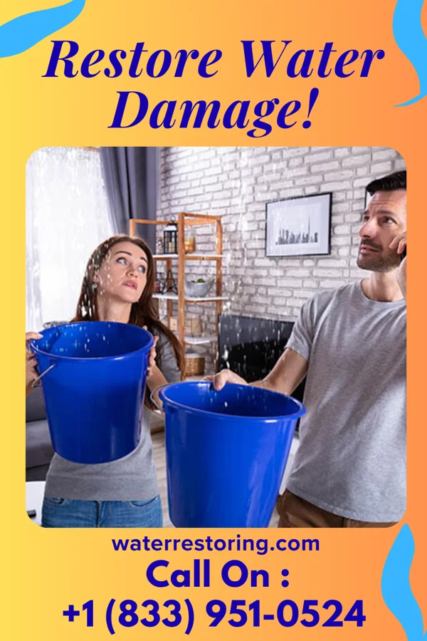 water restoration Ultimate Flood Recovery Co Leisure World
