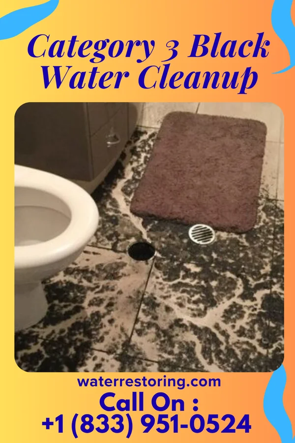 Category 3 Black Water Cleanup in Leisure World, MD