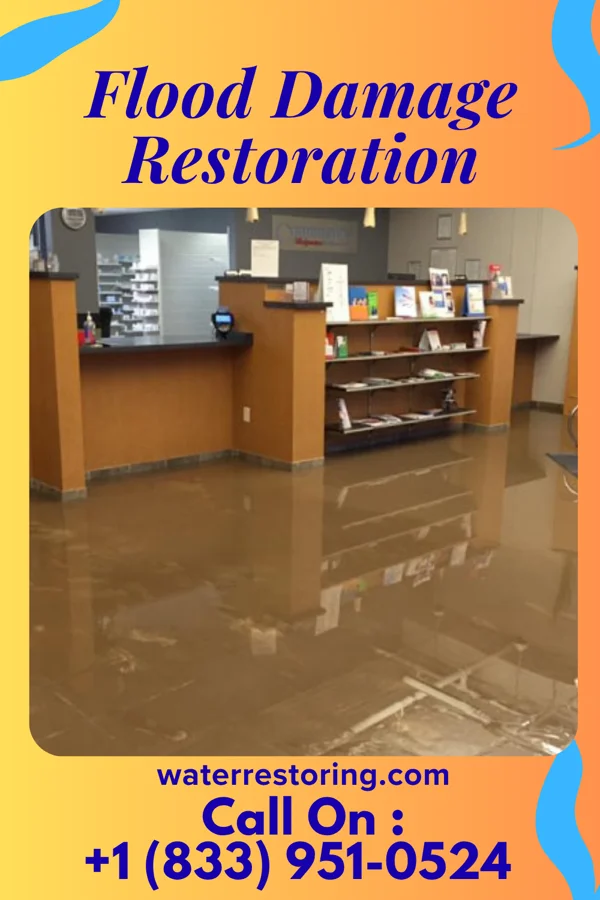 Flood Damage Restoration in Leisure World, MD