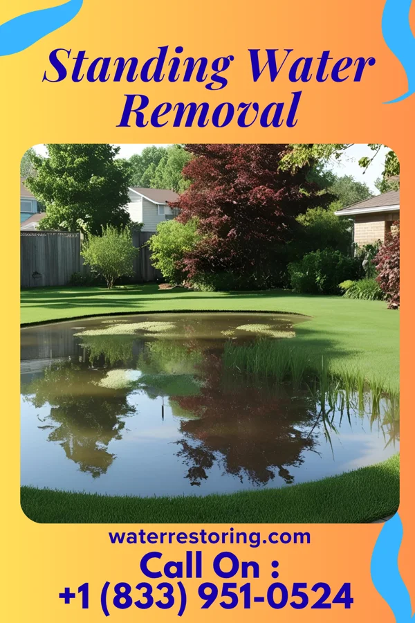 Standing Water Removal in Leisure World, MD